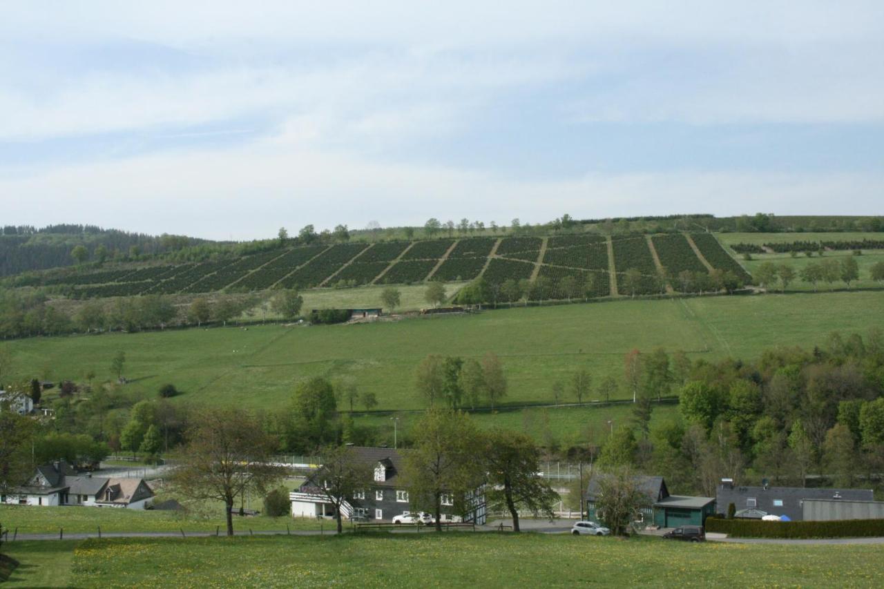 Ferienhaus Zur Ennest Schmallenberg Exterior foto